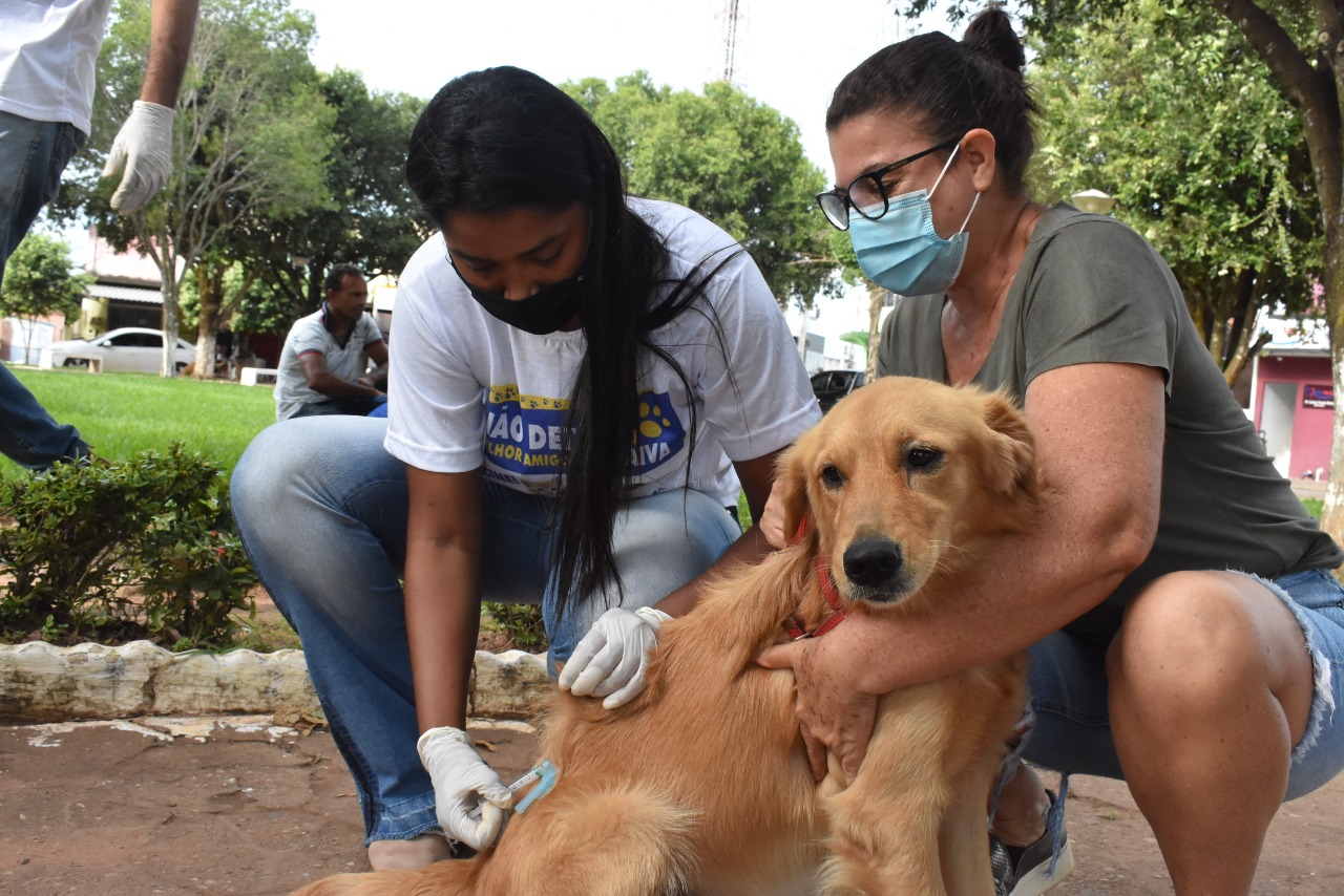 Cotriguaçu, Vila Rica e Colniza têm a pior cobertura vacinal contra  covid-19 em MT :: Leiagora, Playagora